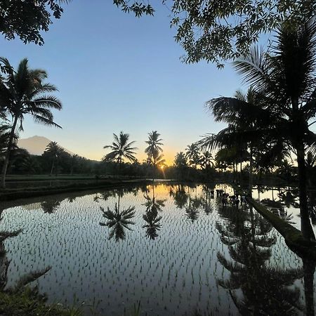 Tereng Wilis Bungalows テテバトゥ エクステリア 写真