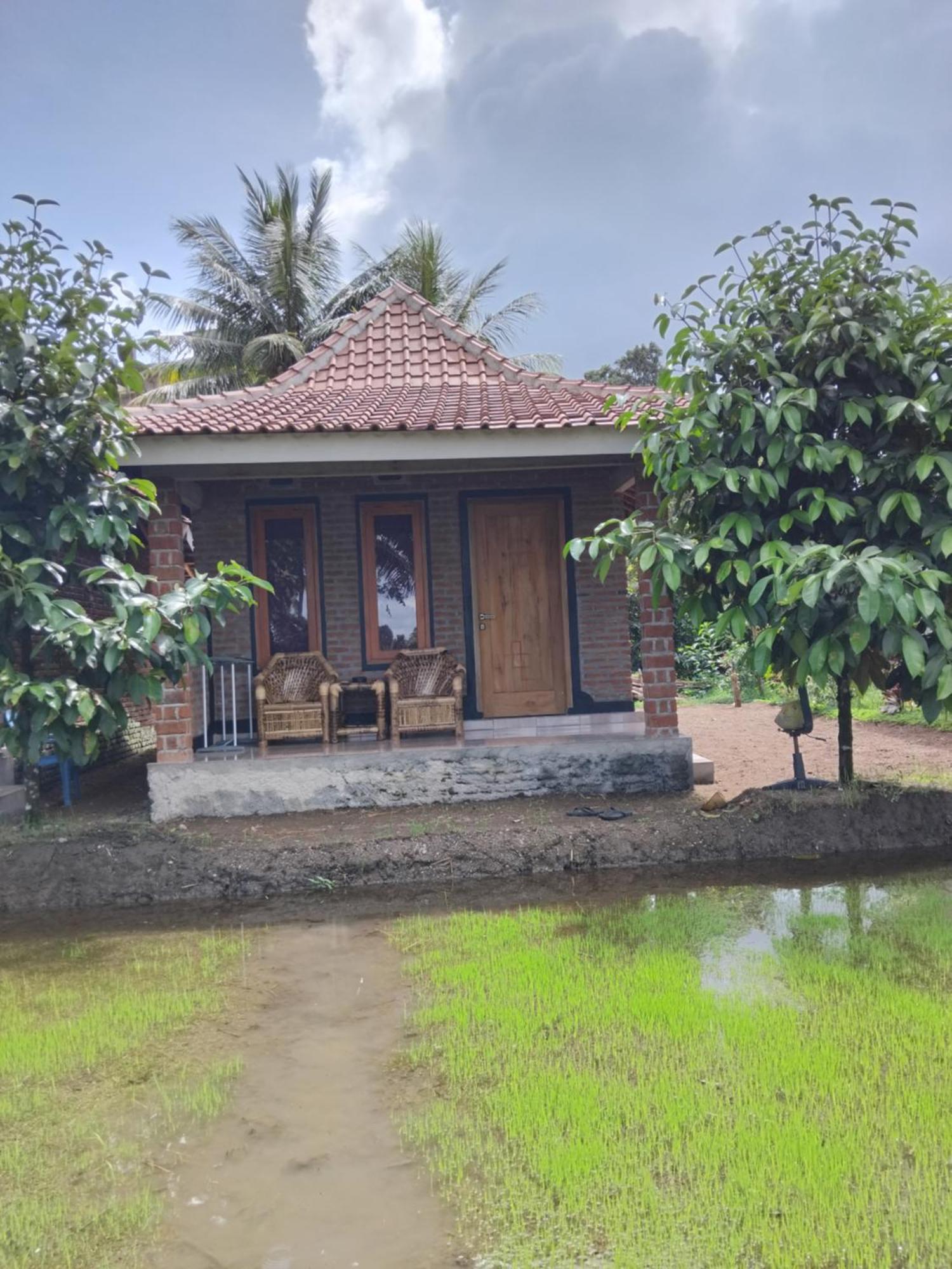 Tereng Wilis Bungalows テテバトゥ エクステリア 写真