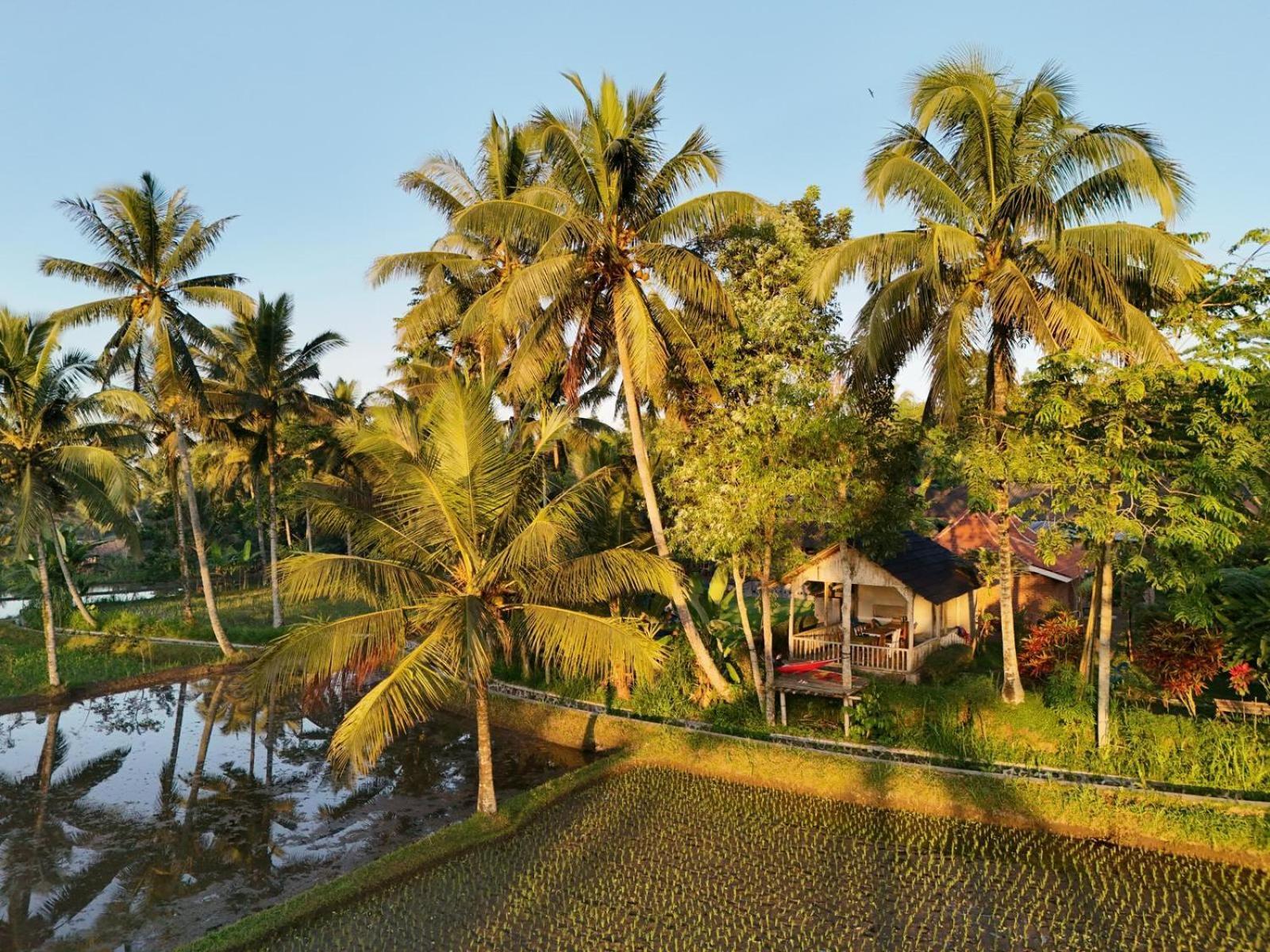 Tereng Wilis Bungalows テテバトゥ エクステリア 写真