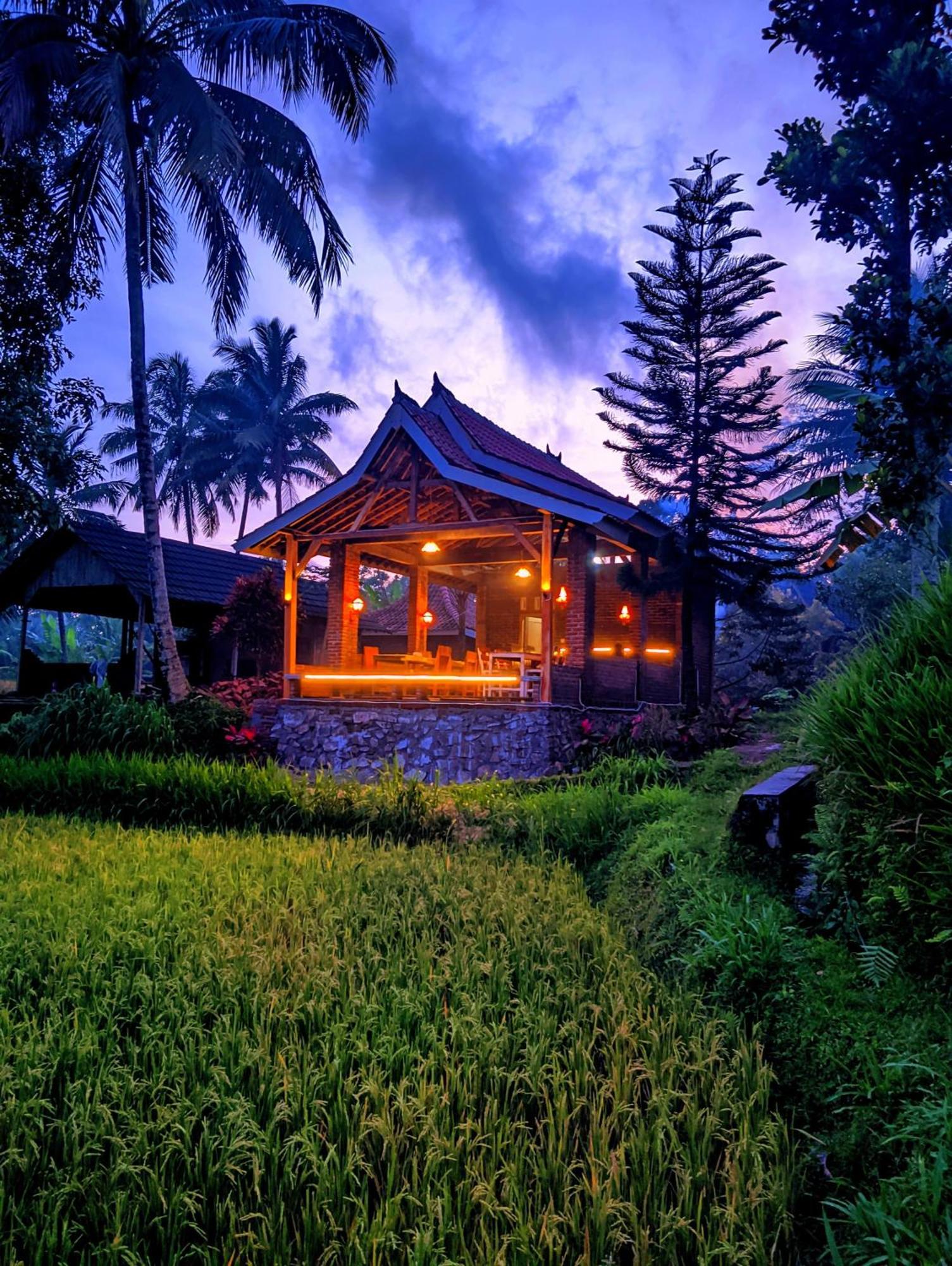 Tereng Wilis Bungalows テテバトゥ エクステリア 写真