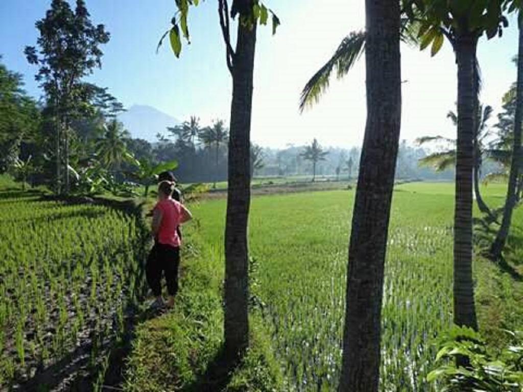 Tereng Wilis Bungalows テテバトゥ エクステリア 写真