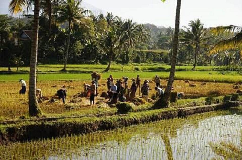 Tereng Wilis Bungalows テテバトゥ エクステリア 写真