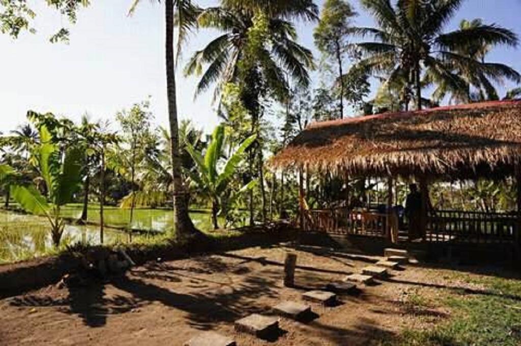 Tereng Wilis Bungalows テテバトゥ エクステリア 写真