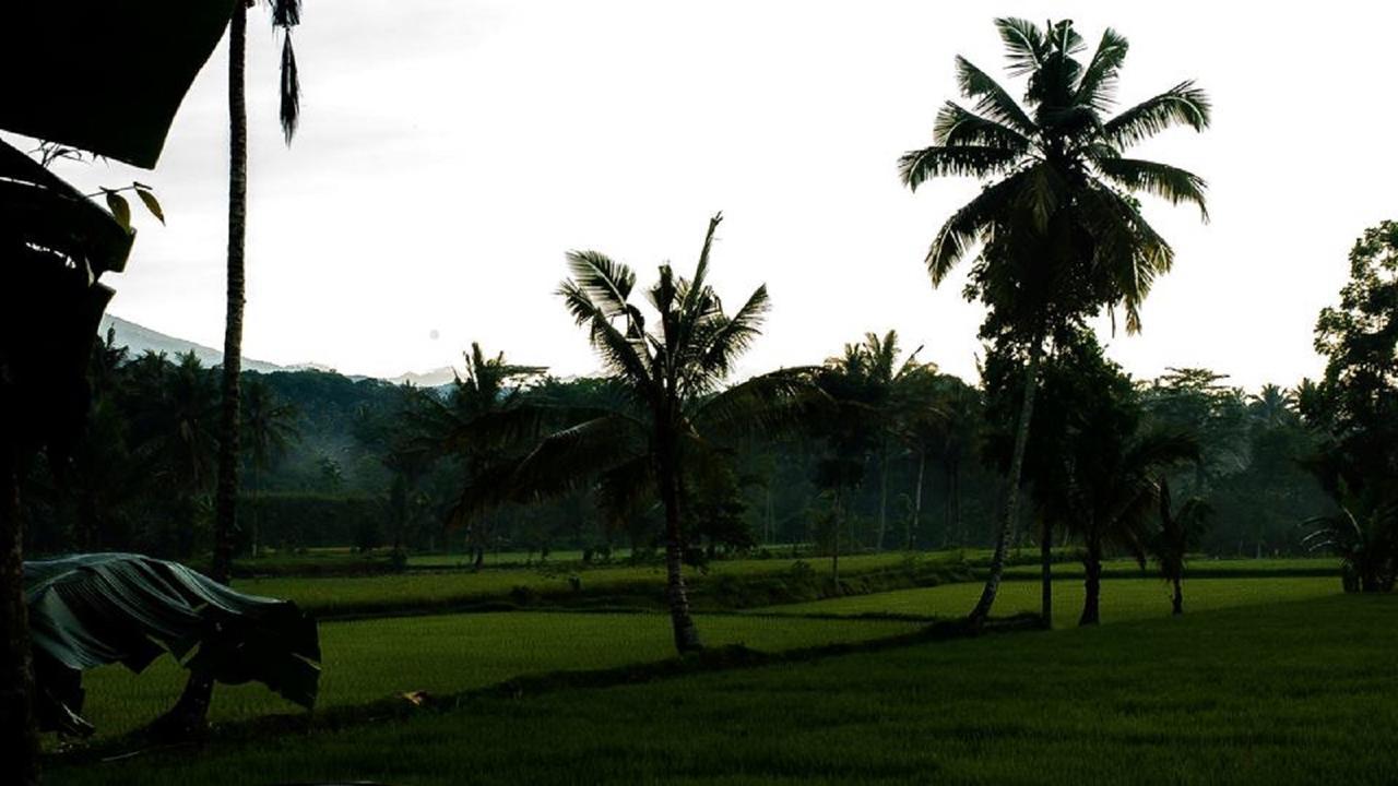Tereng Wilis Bungalows テテバトゥ エクステリア 写真