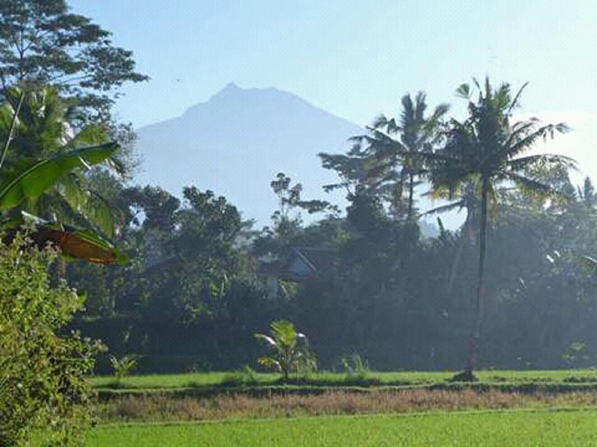 Tereng Wilis Bungalows テテバトゥ エクステリア 写真