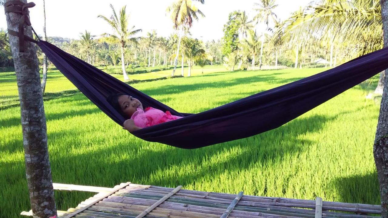 Tereng Wilis Bungalows テテバトゥ エクステリア 写真