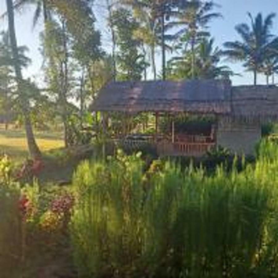 Tereng Wilis Bungalows テテバトゥ エクステリア 写真